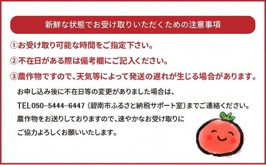 【お試し】まるでトマトの宝石箱！ジュエリートマト 700g（1月～4月発送） H004-126