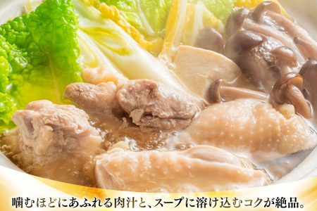 水炊き【3回定期便】訳あり 博多水炊き 10人前 2人前×5 水炊き