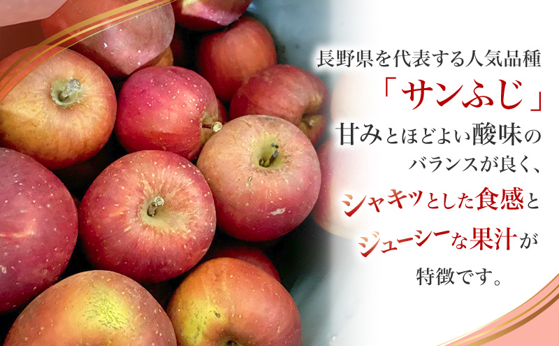 【先行予約】【訳あり・家庭用】長野県産 サンふじ 約3kg りんご リンゴ 不揃い 味は問題なし 家庭用 季節のフルーツ 果物 長野県 信州