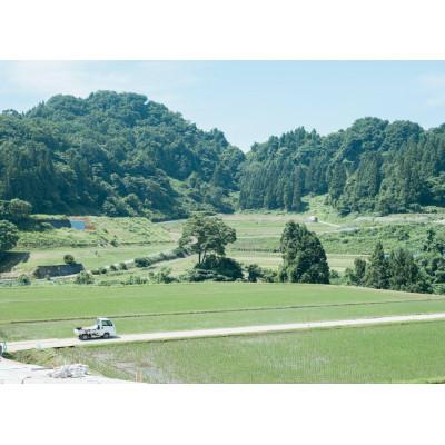 ふるさと納税 魚津市 【新米】天日干し こしひかり「富の環」　白米5kg【北アルプス早月川最上流の棚田米】 |  | 01