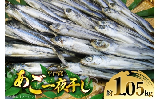 干物  あご 一夜干し 約 1050g 10匹 前後 [森崎水産 長崎県 平戸市 hr42bgy410050] さかな おつまみ 一品