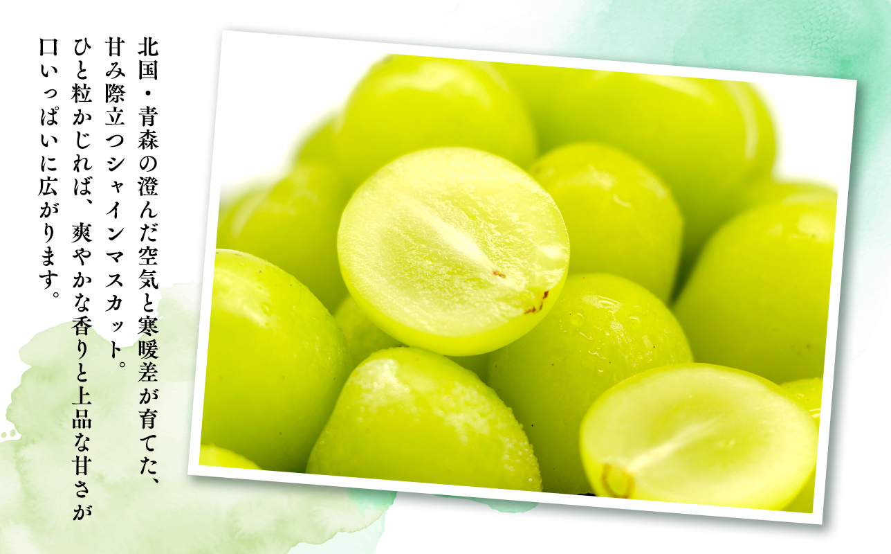 2026年産先行受付　訳あり 北国の冬シャインマスカット2房【原田農園】[hi-0068-001]シャインマスカット 訳あり 家庭用 ぶどう 産地直送 高糖度 平川市
