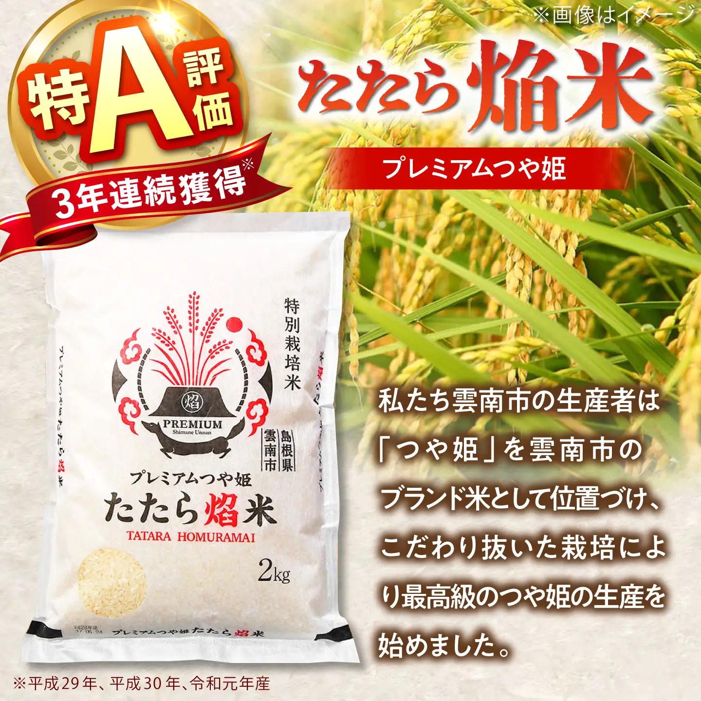 新米 【12回定期便】 プレミアムつや姫 10kg 新米 [AIBR024-r8]