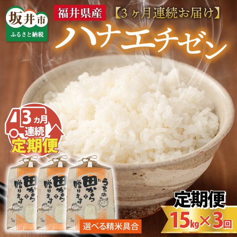 【ふるさと納税】【先行予約】【令和8年産・新米】定期便 ≪3ヶ月連続お届け≫ 【白米・玄米選択可】 ハナエチゼン15kg×3回 計45kg 〜本原農園からまごころコメて〜 【2026年9月上旬以降順次発送予定】