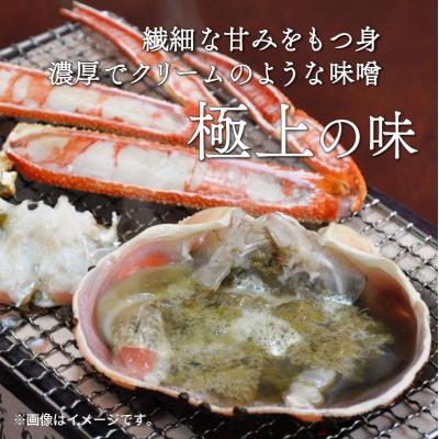 ふるさと納税 小浜市 【先行受付】【2月上旬から順次発送】朝ゆで越前ガニ1杯【約800g】 |  | 02
