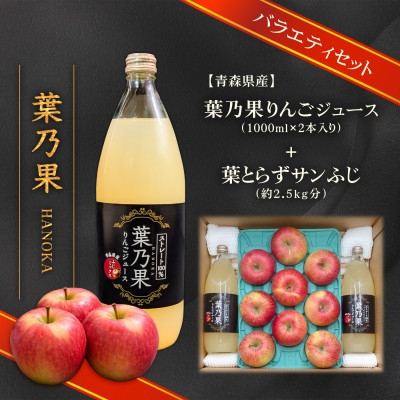 
                  葉とらずりんごジュース2本&家庭用訳あり 青森県産りんご約2.5kg(品種おまかせ) アソートセット【1719619】
                