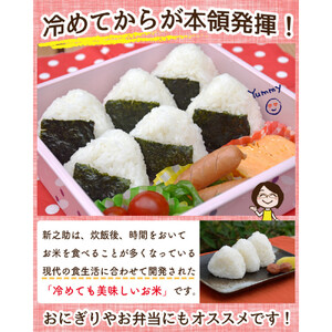 佐渡島産 新之助 白米2kg×1袋