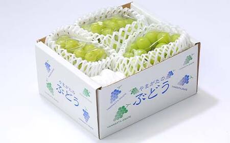 【先行予約 2026年度発送】♪フルーツ王国山形 シャインマスカット1.2kg 9月発送 マスカット ぶどう ブドウ 葡萄 デザート フルーツ 果物 くだもの 果実 食品 山形県 FSY-2555