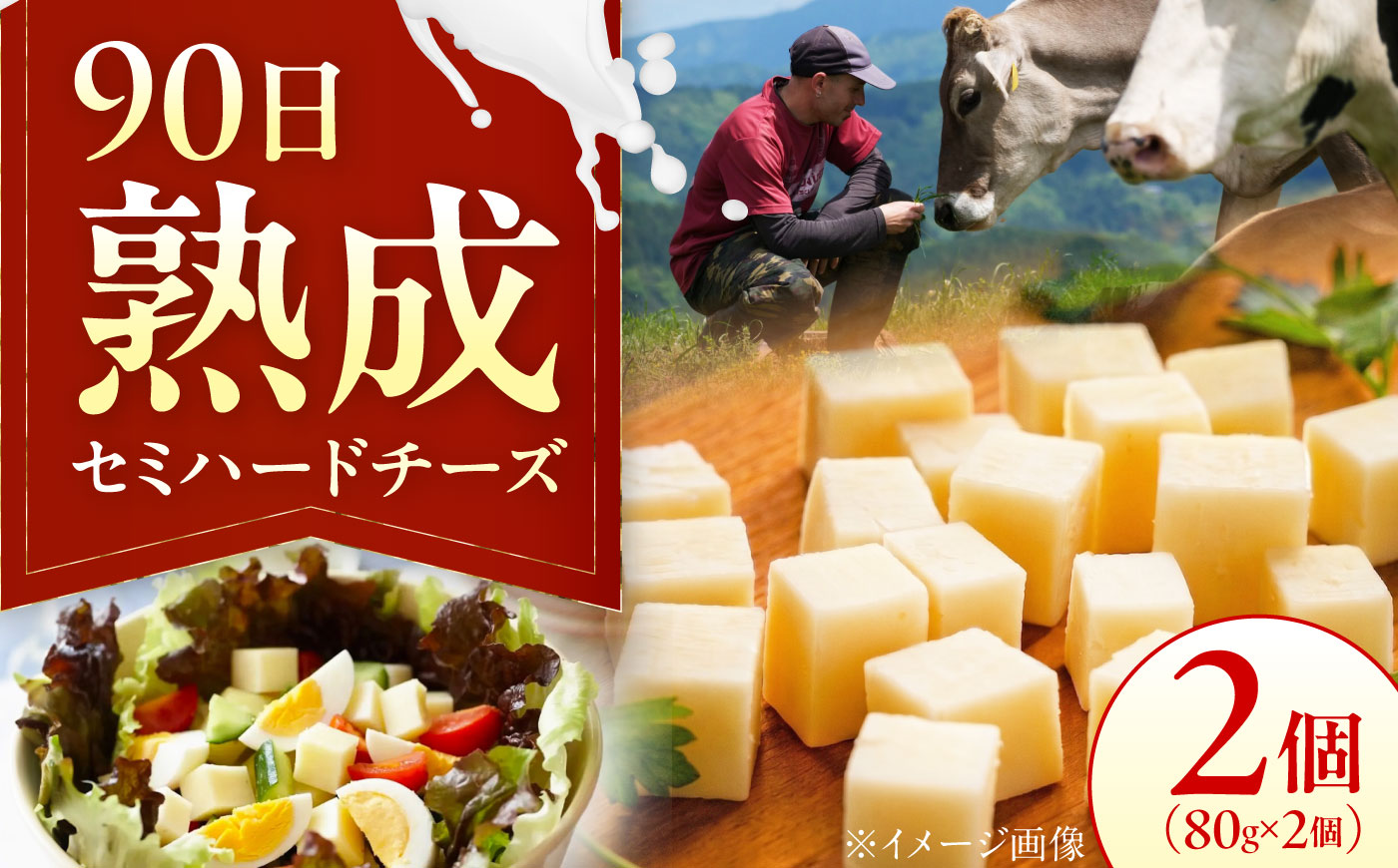 山地放牧酪農ミルクのセミハードチーズ（UCHIKO180）2個セット/チーズ    愛媛県 伝統製法 おつまみ 乳製品/株式会社醍醐 [BKAH009]