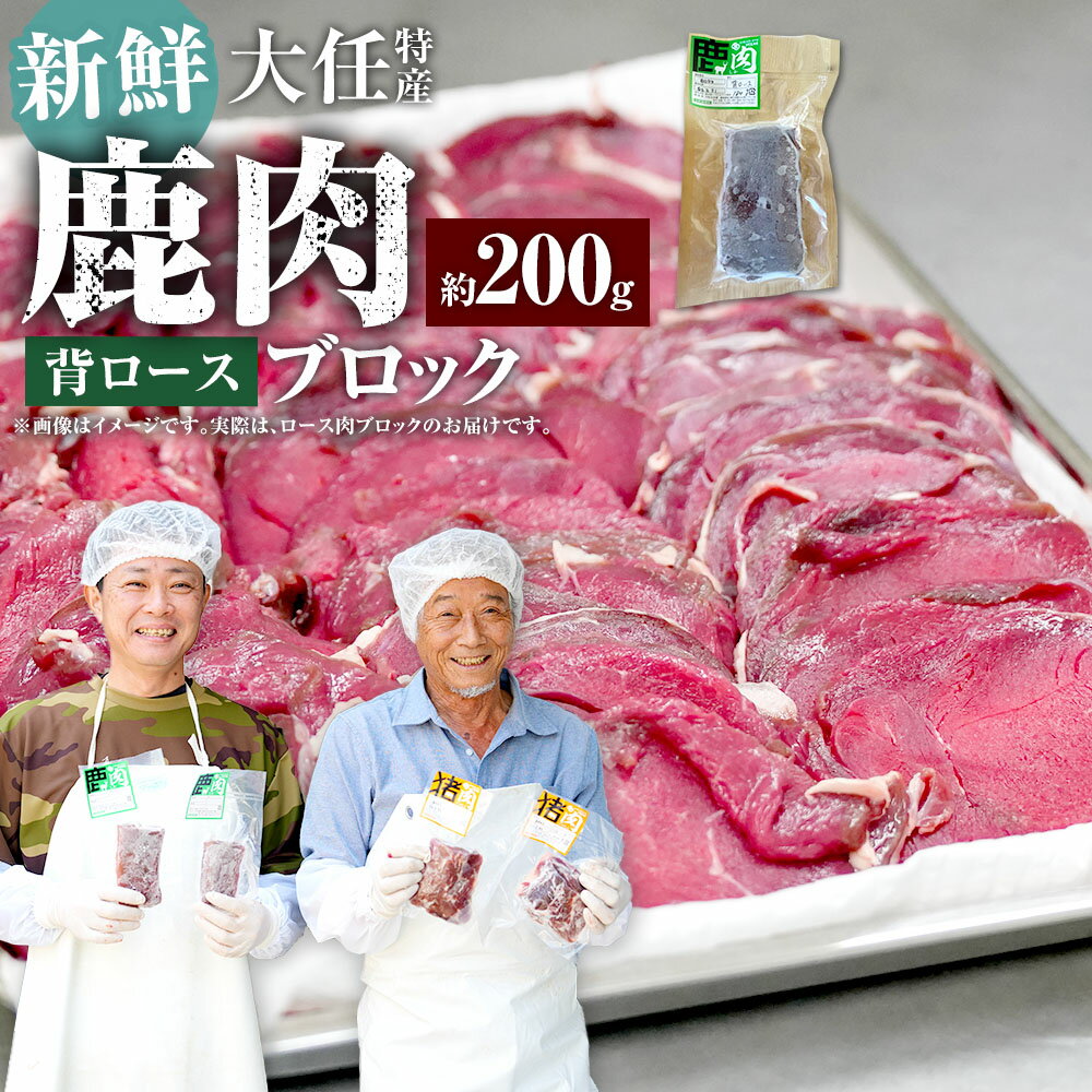 【ふるさと納税】大任特産 鹿背ロース肉ブロック 鹿肉 ジビエ お肉 背ロース 冷凍 福岡県産 国産 福岡県 大任町 送料無料