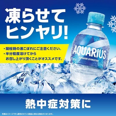 アクエリアス500mlPET  24本入
