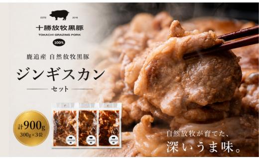 鹿追産 自然放牧黒豚ジンギスカンセット 【 ふるさと納税 人気 おすすめ ランキング 黒豚 黒豚肉 豚肉 肉 豚 ジンギスカン 豚ジンギスカン 黒豚ジンギスカン 北海道 鹿追町 送料無料 】 SKN002
