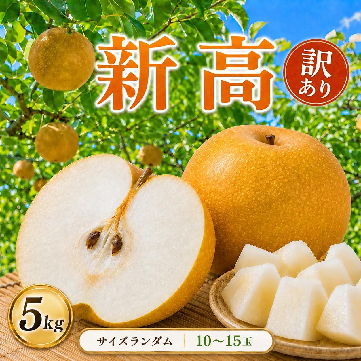 【2026年先行予約】 訳あり! サイズランダム 新高 約5kg 梨 栃木県共通返礼品(栃木県産)