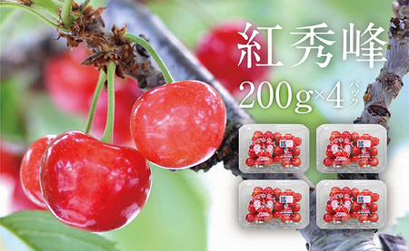 フルーツ ３種類 定期便 ( さくらんぼ 白桃 りんご ） プレミアム 紅コース 秀品 農家直送 山形県 朝日町産 農産物 山形産 サクランボ 紅秀峰 もも 川中島 リンゴ サンふじ 高級 果物 夏 