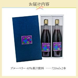 無添加ブルーベリージュース「ブルーベリーの恵み」720ml×2瓶