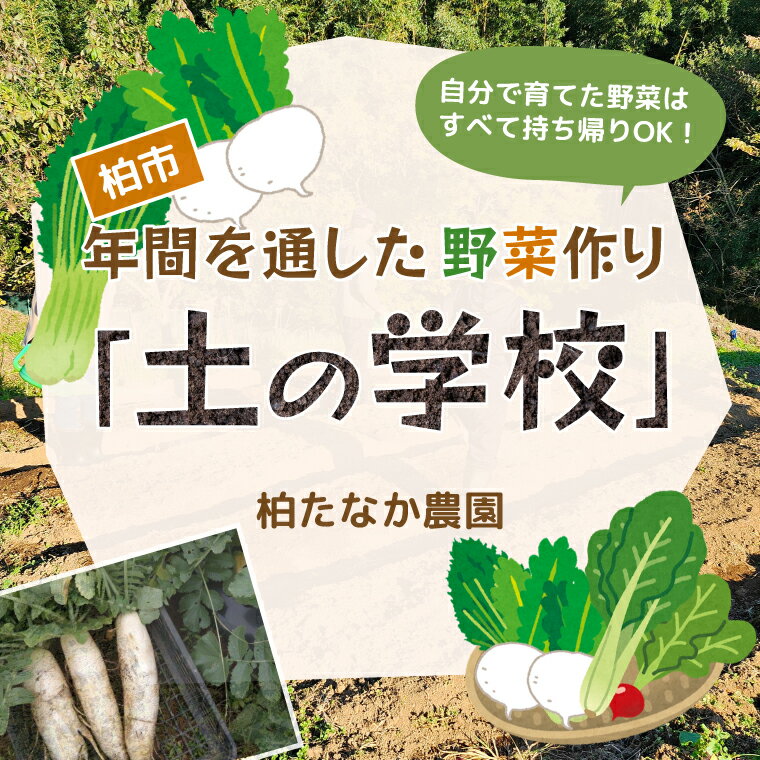 【ふるさと納税】 土の学校 チケット 学び 野菜収穫 旬の野菜 収穫 食育 農業 野菜 子供 親子 農作物