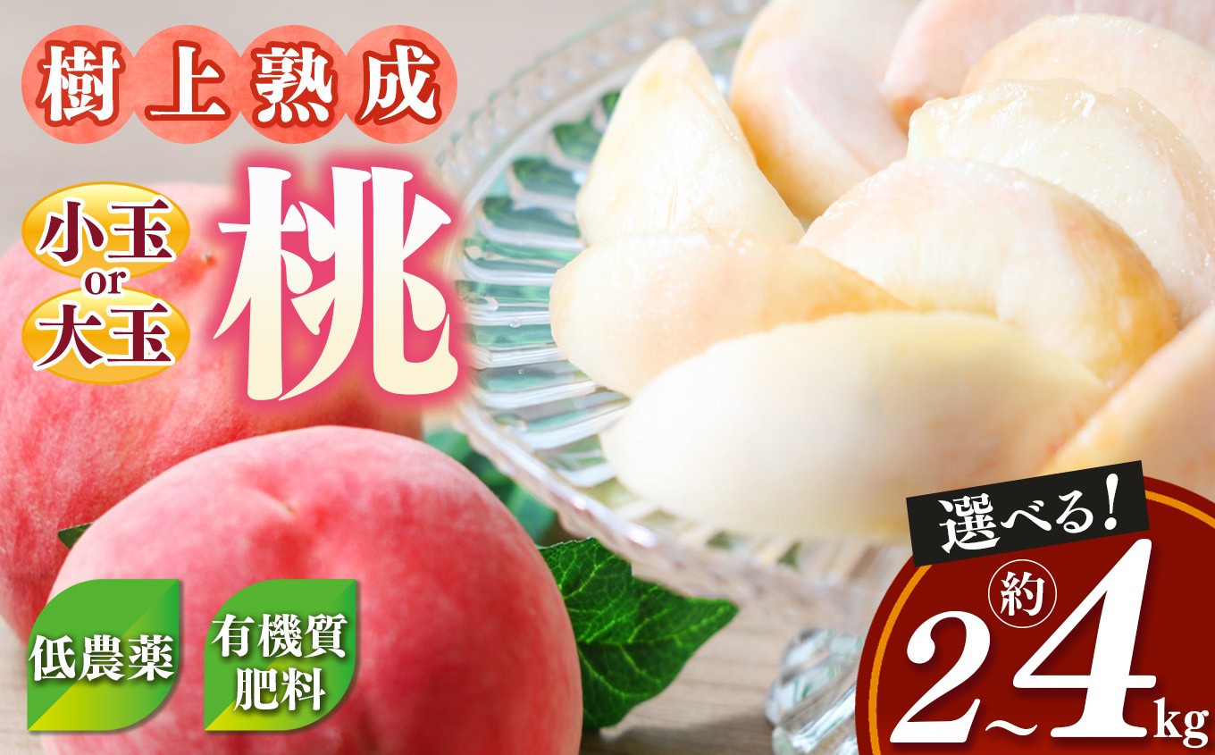 
            桃（ 小玉 or 大玉） 約2～4kg 箱| フルーツ 果物 くだもの もも モモ ピーチ 奈良県 五條市 果実 果汁
          