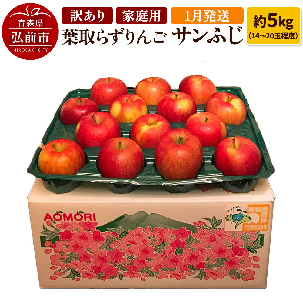【ふるさと納税】【レビューキャンペーン】【26年1月発送】りんご 訳あり家庭用【年明け発送】葉取らず サンふじ 約5kg（14〜20玉程度）青森県特別栽培農産物認証農園