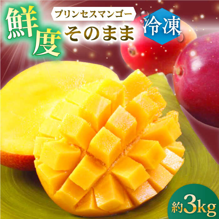 【ふるさと納税】【先行予約】【冷凍】プリンセスマンゴー 約3kg[QAT014]