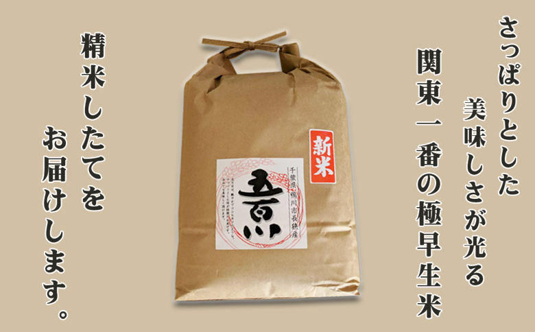 《令和６年新米》【米屋新蔵】関東一の極早生米『五百川』５kg　[0011-0060] ５kg