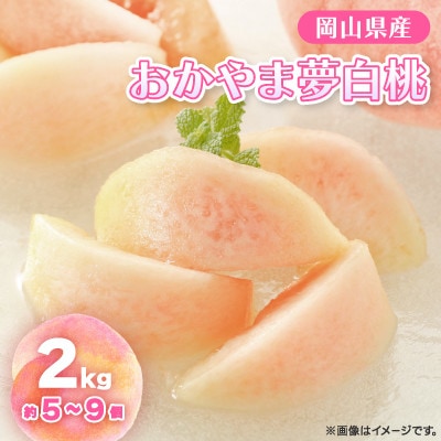 【2026年先行予約】2026年8月上旬頃より発送予定・岡山の白桃・おかやま夢白桃(2kg箱)【配送不可地域：離島】