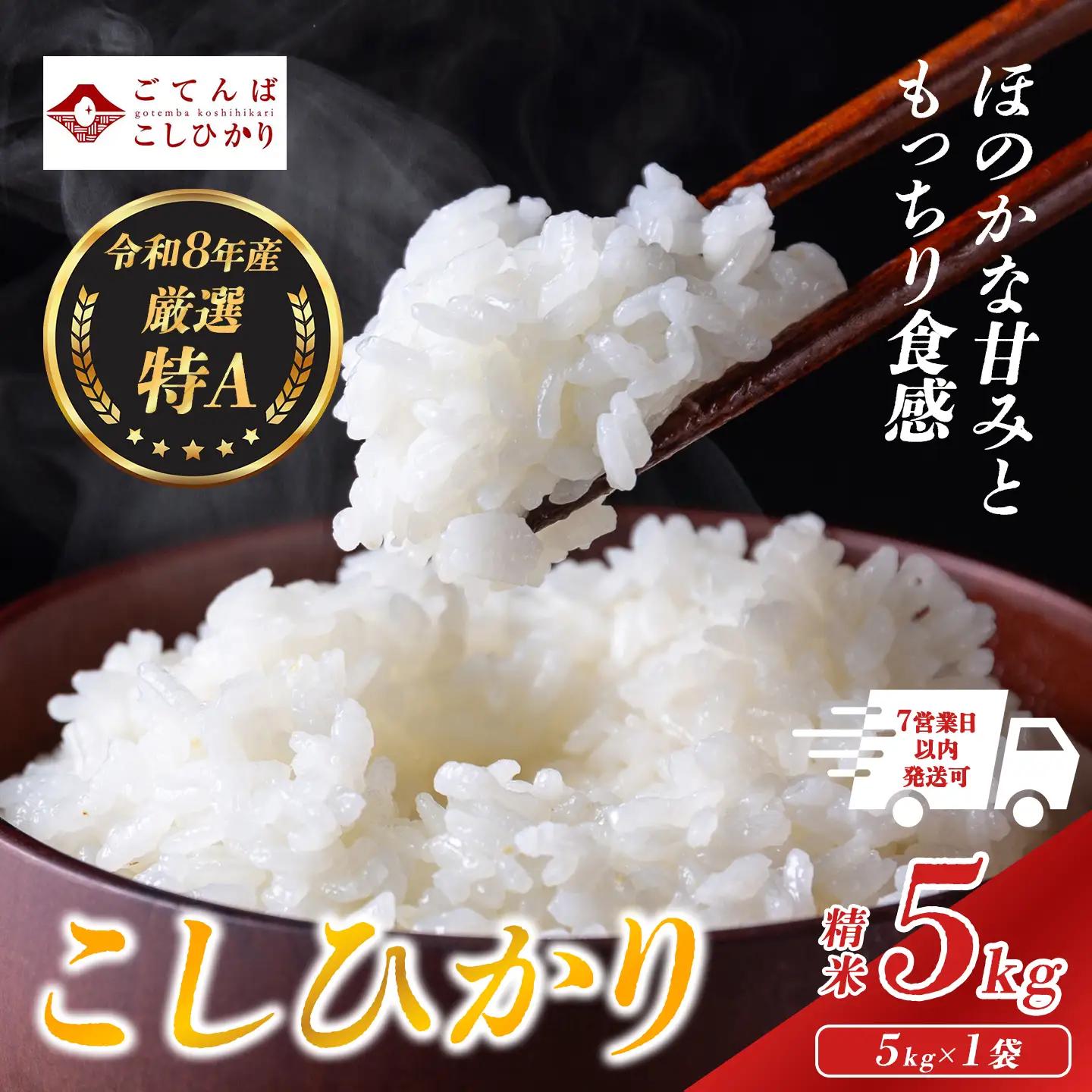 先行予約 令和8年産 精米 こしひかり 5kg コシヒカリ