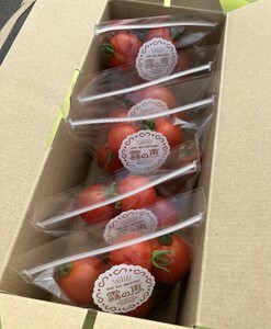 霧の恵(ミディトマト)　甘み・旨みのバランスがよく、口当たりの良いフルーツのような味わいのミディトマト【トマト　兵庫県　高砂市】