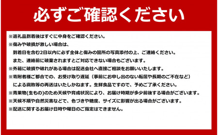 【先行予約】北海道産 赤肉メロン LLサイズ 1玉（計2.0kg以上）2026年6月下旬から発送開始 | メロン _04564