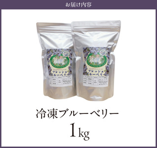 冷凍ブルーベリー 1kg_冷凍 ブルーベリー １kg 完熟 自家農園 ミキサー アイス ヨーグルト シャーベット スムージー アントシアニン 疲れ目 腸内環境 国産 ジャム レシピ 冷凍フルーツ 果物