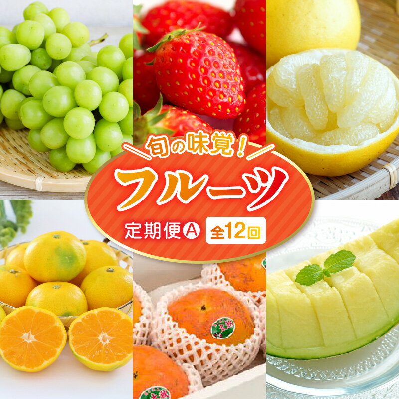 【ふるさと納税】数量限定 先行予約 フルーツ 定期便 2026年 定期便 A セット 完熟 いちご 網田ネーブル 不知火 パール柑 オレンジハート 肥後グリーンメロン 冷凍いちご シャインマスカット 早生みかん 太秋柿 アールスメロン デコポン 果物 送料無料 【熊本県宇土市】