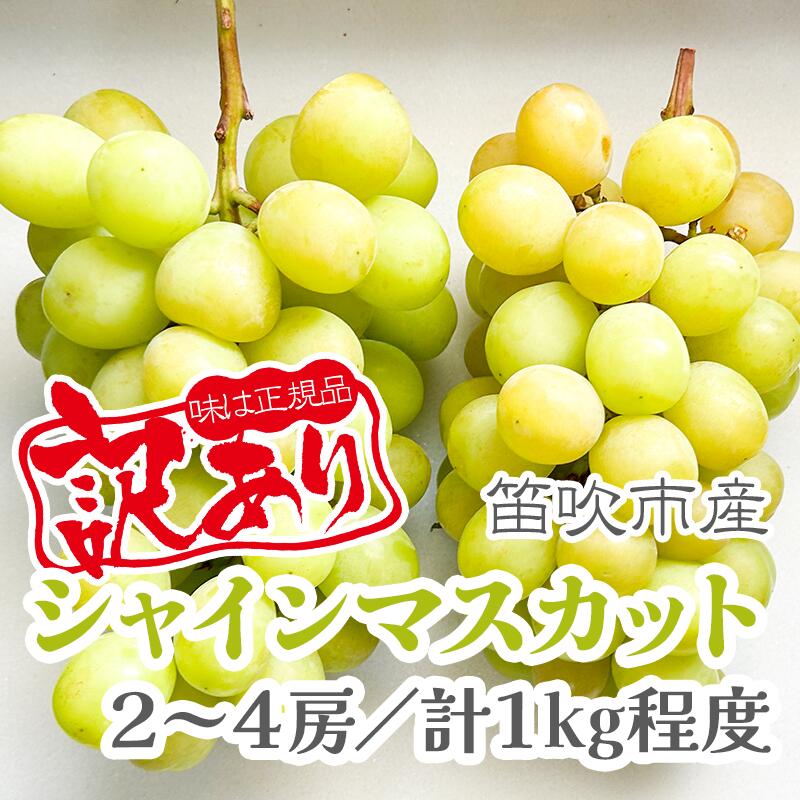 【ふるさと納税】【2026年発送★先行予約】【訳あり品】山梨県産シャインマスカット2房〜4房(合計1kg程度) ふるさと納税 訳あり ぶどう シャインマスカット 笛吹市 国産 人気 期間限定 果物 フルーツ 旬 山梨県 送料無料 229-009