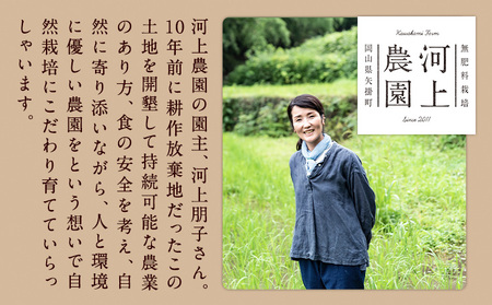 令和5年産 無肥料栽培ササニシキ 玄米 5kg(5kg×1袋) 河上農園 岡山県矢掛町《30日以内に出荷予定(土日祝除く)》 農薬・化学肥料不使用 お米 コメ こめ
