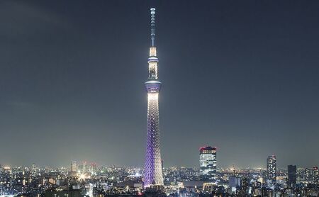 スカイツリー（R）ビューレストラン 簾【ディナーペア券】炭火窯焼フレンチ「魅惑の簾 炭火窯焼コース」＋東京スカイツリー（R）入場引換券 SKYTREE　入場券 優待券 お食事券 展望 SKYTREE 