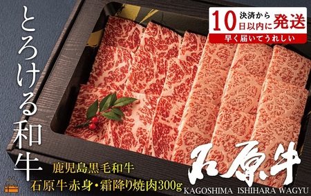 世界が絶賛した“とろける和牛”幻の石原牛 赤身・霜降り食べ比べ焼肉300g ( 鹿児島黒毛和牛 ブランド牛 牛肉 ビーフ こだわり プレミアム オメガ３脂肪酸 贈答 ギフト 徳之島 奄美 鹿児島 美味しい 赤身 霜降り 脂身 ステーキ 焼肉 BBQ 世界基準 石原PRO 決済後10日以内発送 )