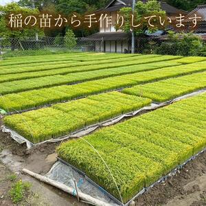 【兵庫県佐用町産】さよひめ営農のお米 10kg 3銘柄から選べる 精米/玄米 てんこもり/玄米