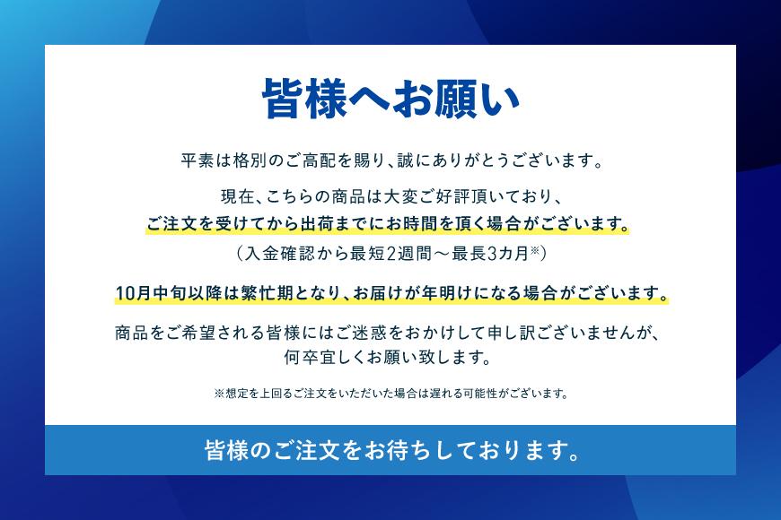 ダイキン UV加湿ストリーマ空気清浄機 シルバーACKB70Y-S(適用畳数：31畳/PM2.5対応)