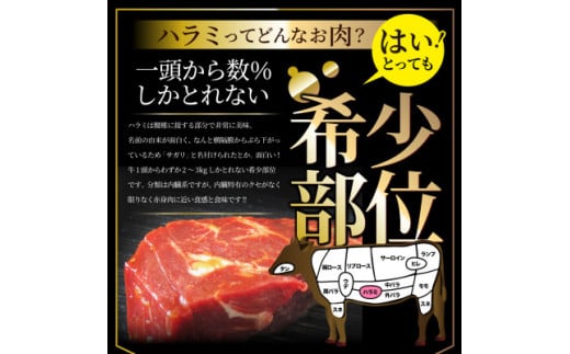 【ふるさと納税】贅沢赤身　牛ハラミステーキ　4枚セット(合計1kg)　厚切り　秘伝のタレ漬け　焼く 牛肉 焼肉 タレ 漬け 秘伝 柔らかい 味付き やきにく ハラミ 希少 小分け 厚切り 冷凍 BBQ 香川県 三木町 国産\ 牛 ステーキ 赤身 ギフト 食品 お取り寄せ 贈り物