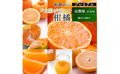 【偶数月】柑橘 定期便 M【全6回】【和歌山】