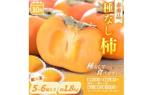 【定期便4回】旬の フルーツ定期便 / はれひめ みかん いちご まりひめ 桃 秀品 柿 種無し フルーツ 定期便 ふるーつ定期便 フルーツ 詰め合わせ 果物定期便 春フルーツ 夏フルーツ 秋フルーツ