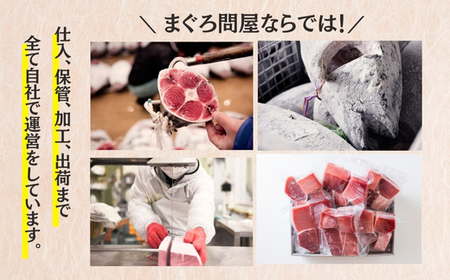 B26-013 復活！当店人気！30人前！天然三崎まぐろ 赤身 切落し 3kg (500g×6袋) 小分け 海鮮