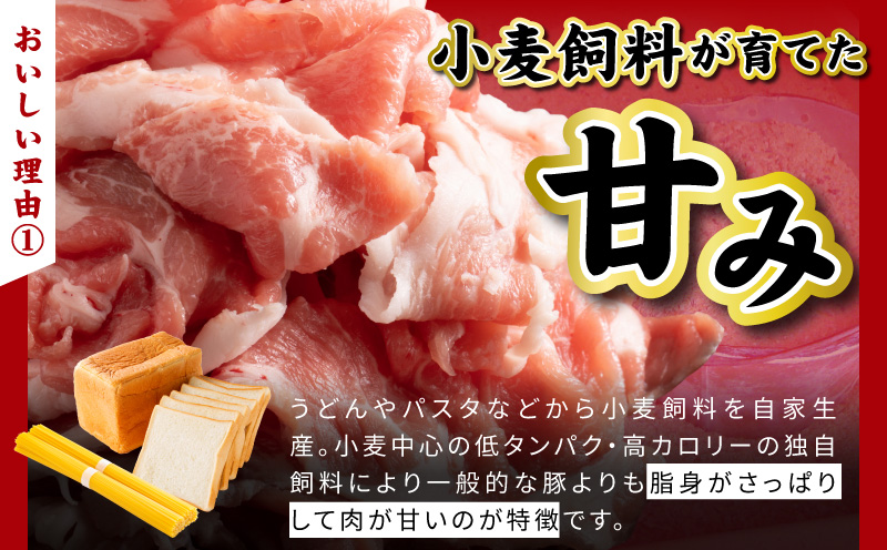 【泉佐野ブランド豚】犬鳴豚餃子 100個【国産 豚肉 ぶたにく 犬鳴ポーク 焼くだけ 人気 総菜 冷凍】 099H4477