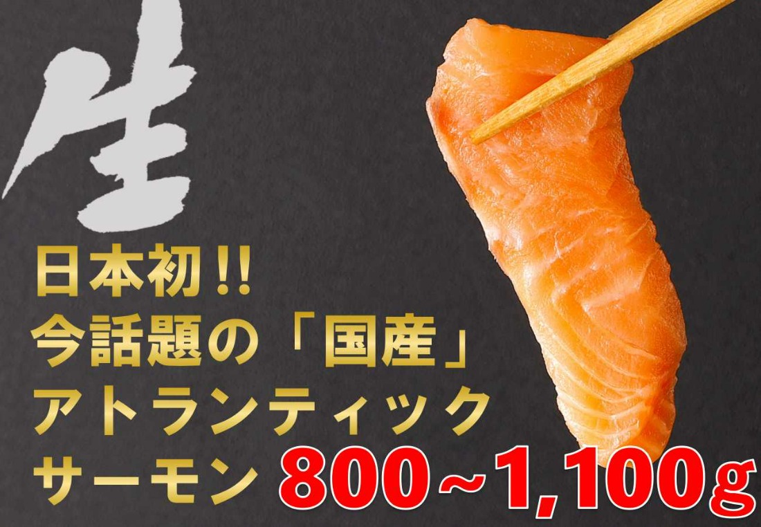 E22【1月24日(金)発送】日本初！今話題の国産アトランティックサーモン「FUJI ATLANTIC SALMON」【生】800～1,100ｇ