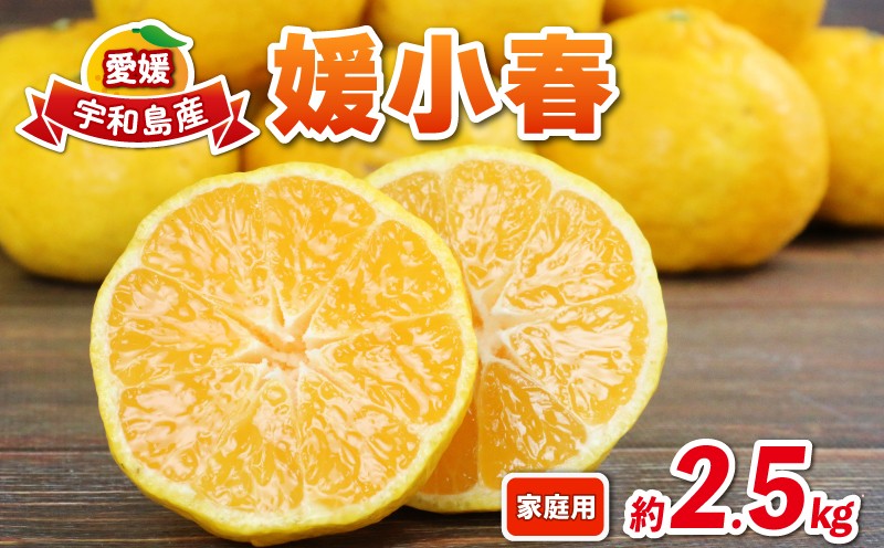 
                  媛小春 2.5kg 愛媛みかん 兵頭農園 みかん mikan 愛媛ミカン 愛媛蜜柑 ひめこはる 愛媛県産 限定 希少 品種 蜜柑 果物 フルーツ 柑橘 高級 産地直送 農家直送 数量限定 国産 愛媛 宇和島 B010-055004
                