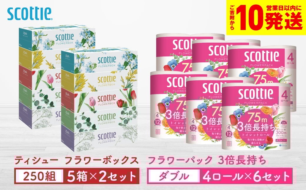 
            【スコッティ】ティシュー フラワーボックス 250組（5箱パック×2セット）＋フラワーパック 3倍長持ち（4ロール(ダブル)パック×6セット）ティッシュ トイレットペーパー 日用品 防災備蓄 ストック 備蓄 新生活 防災 消耗品 生活用品 日用消耗品 箱ティッシュ
          