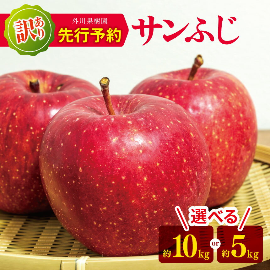 【ふるさと納税】 *【2025年先行予約】 外川果樹園 訳あり サンふじ 約10kg 約5kg ｜ リンゴ りんご 林檎 果物 フルーツ 果実 果汁 サンふじ さんふじ 家庭用 わけあり 訳アリ 長野県 松川村 信州