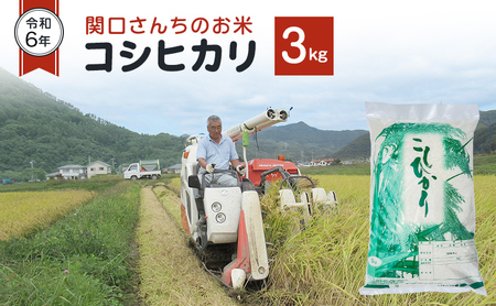 米 令和7年 関口さんちのお米 コシヒカリ 3kg お米 こめ コメ 新米 精米 白米 ご飯 こしひかり 長野 信州