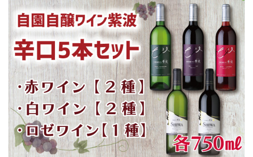 自園自醸ワイン紫波辛口５本セット