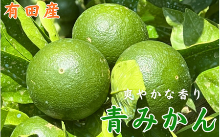 訳あり 有田みかん 青切 3kg (サイズ混合) 家庭用 頑固オヤジのこだわりみかん ※2026年7月下旬～2026年9月中旬頃より順次発送予定 【krf001-c-3】