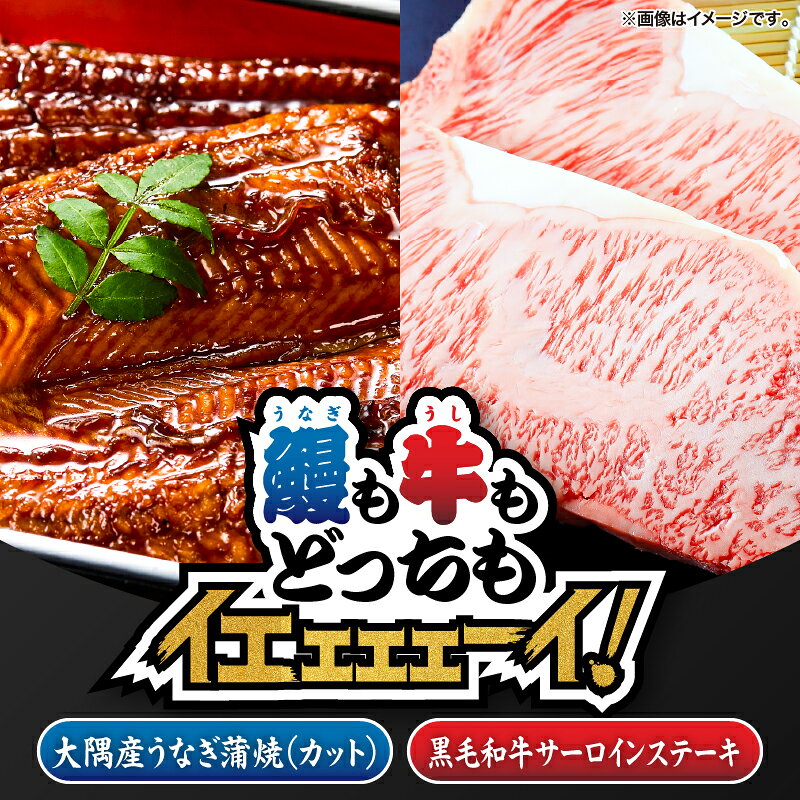 【ふるさと納税】【新聞広告大賞受賞記念】【鰻も牛もどっちもイエェェェーイ！5】鹿児島県大隅産「カット」うなぎ蒲焼80g×1枚 うしの中山サーロインステーキ200g うなぎ 鰻 蒲焼 土用の丑 【株式会社nixy 中山亭 鹿屋店】