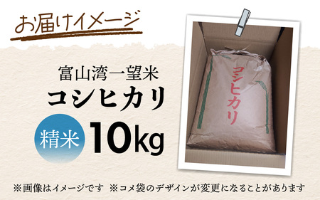 令和7年産 富山湾一望米　コシヒカリ 精米 【容量10kg】[B-051001]